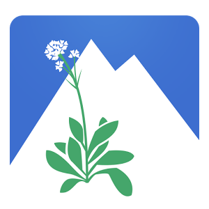 Botanicka basta